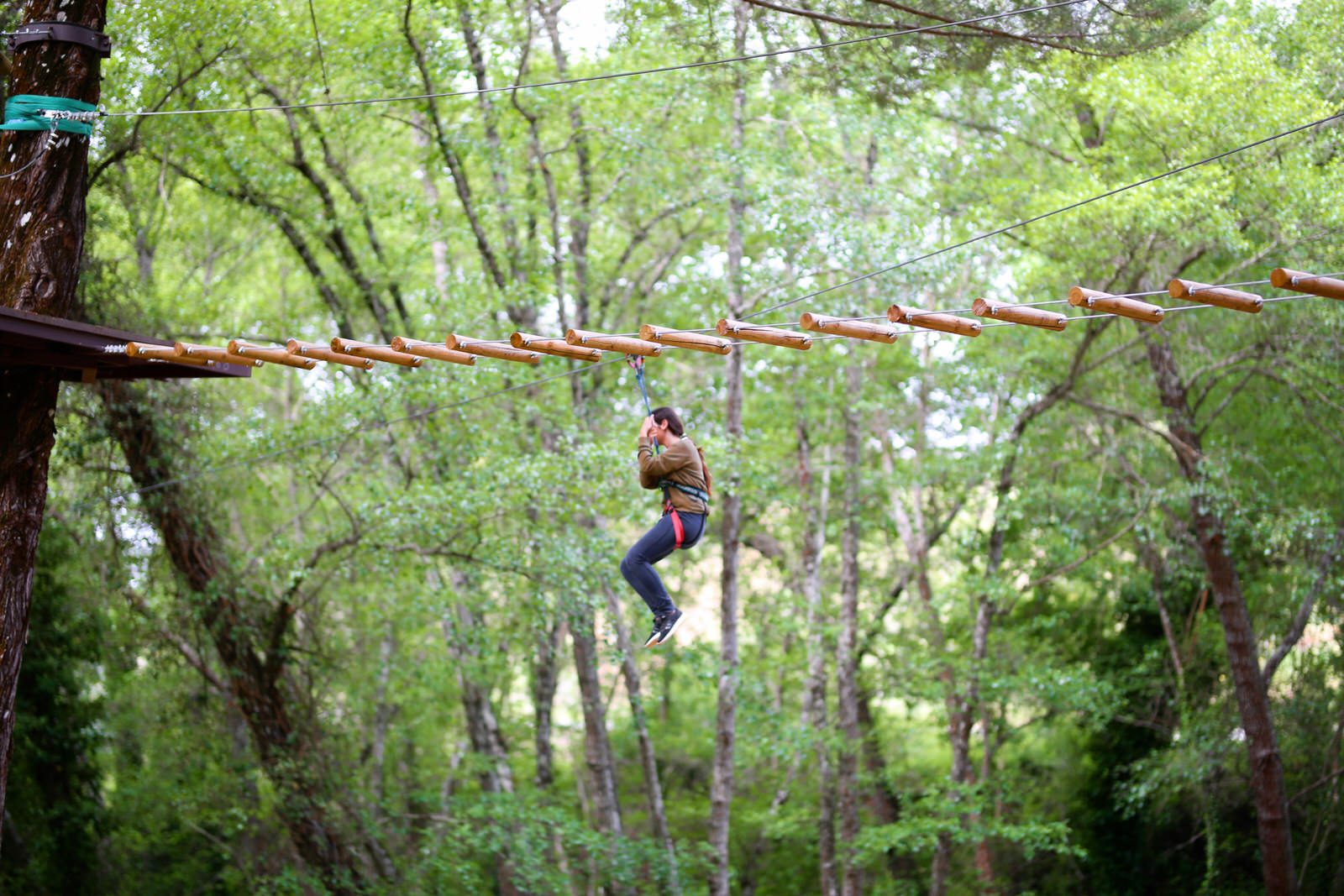 Circuito de aventura en los árboles