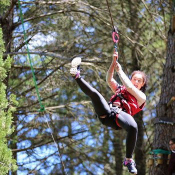 Actividades del parque
