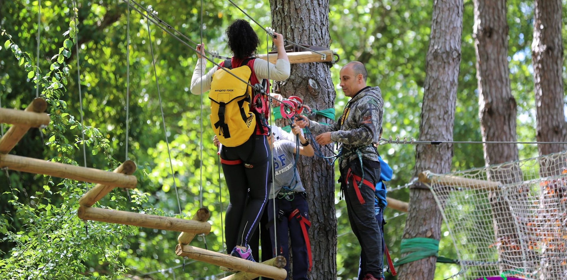 Aventura entre los árboles