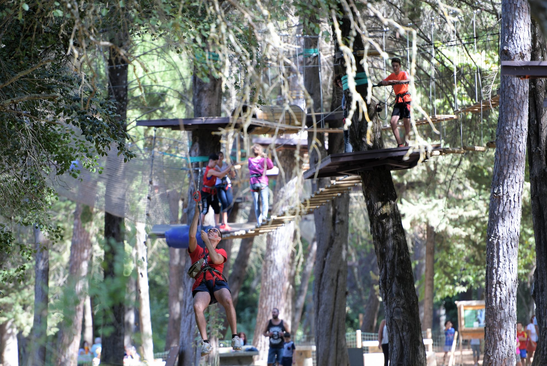 Actividad en plena naturaleza
