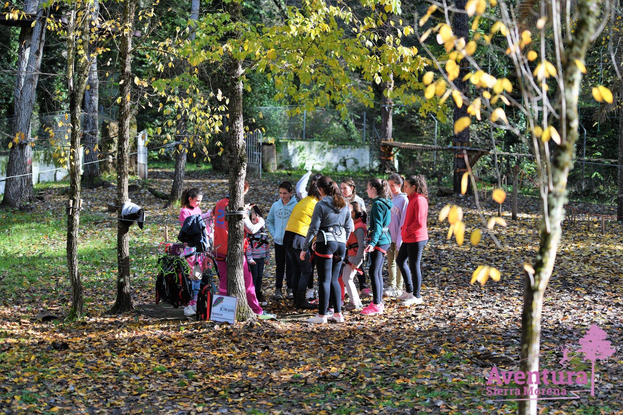 Grupo de escolares en una actividad en el bosque